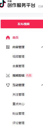 图片[53]-抖音高客单项目 | 实战手册