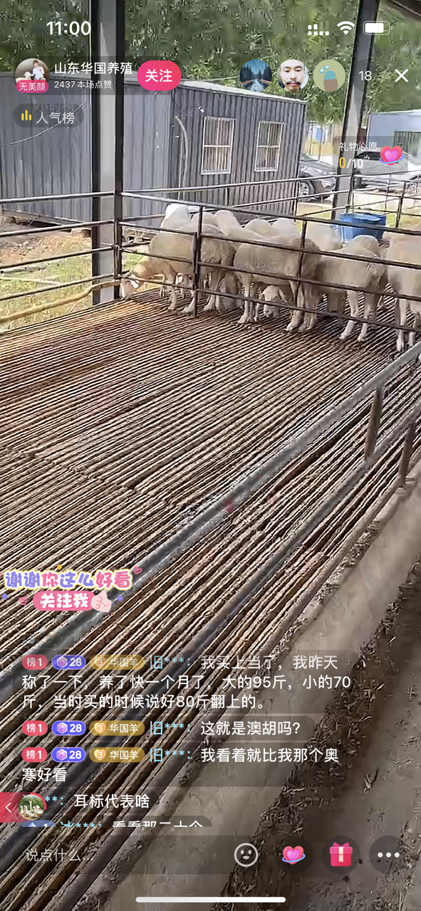 图片[76]-抖音高客单项目 | 实战手册