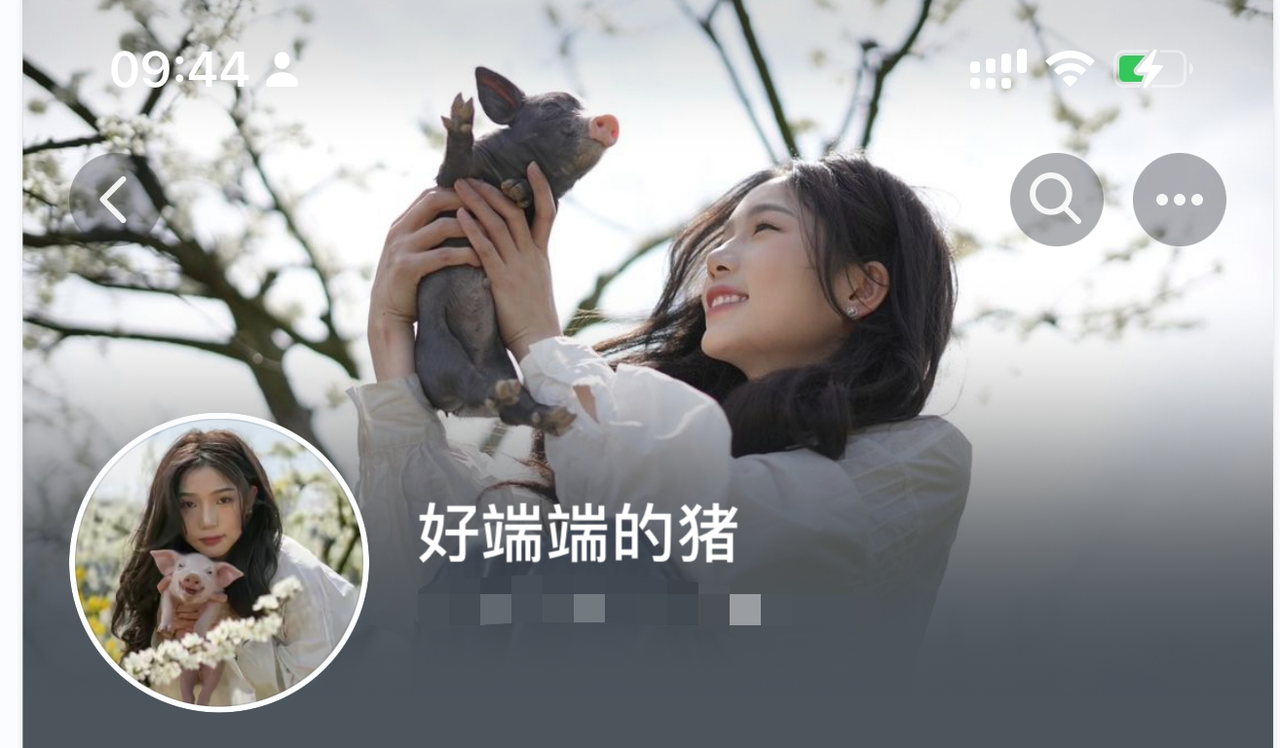 图片[54]-抖音老板 IP | 实战手册