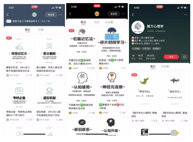 图片[78]-小红书 IP | 实战手册