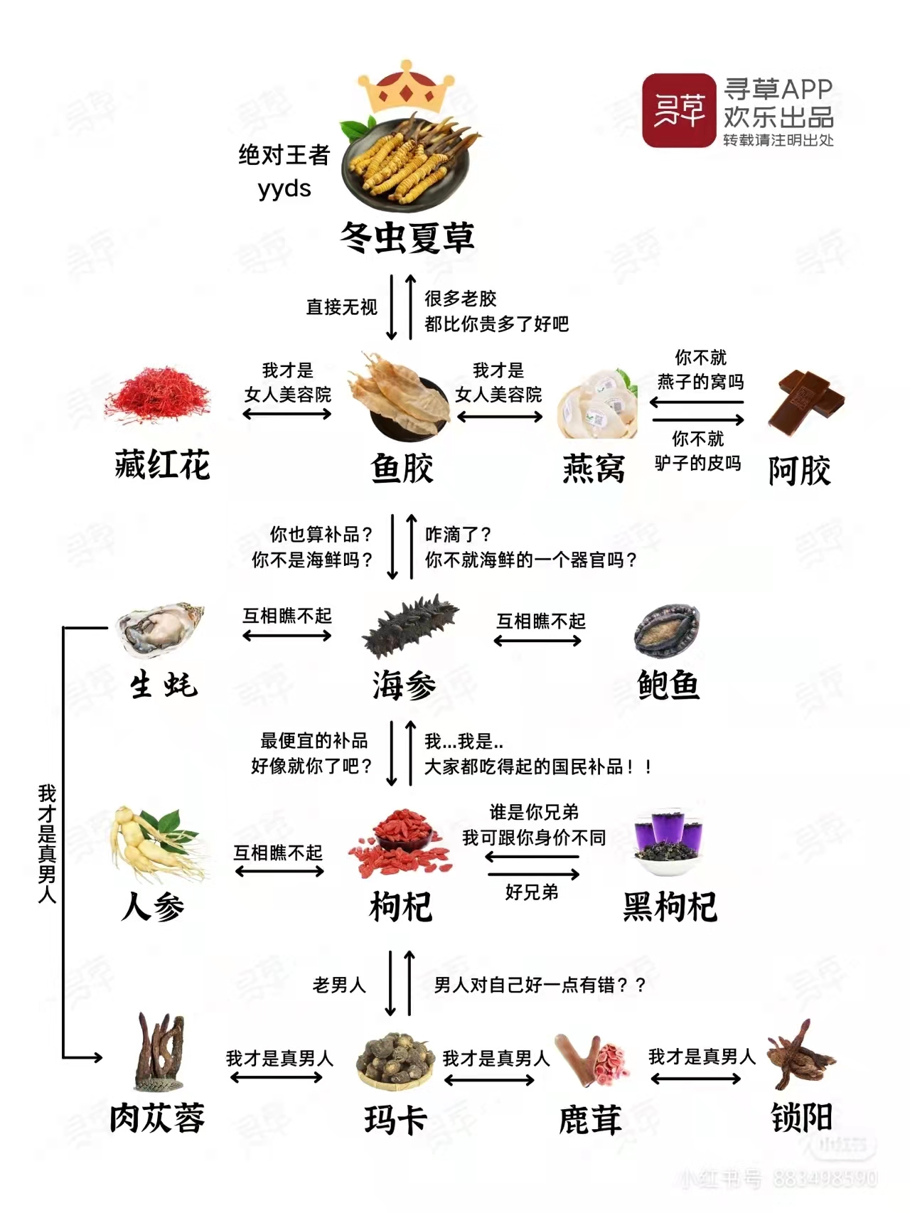 图片[47]-小红书 IP | 实战手册